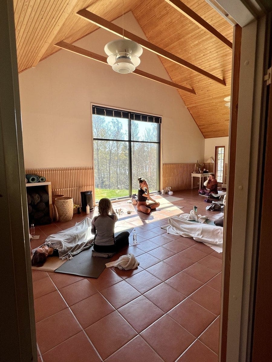 Biomekaniikka joogassa - 10 h syventävä koulutus - Image 3